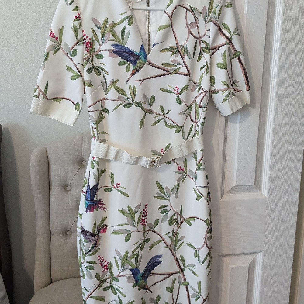 Ted Baker Cream Midi Dress with Green & Blue Hummingbird Print